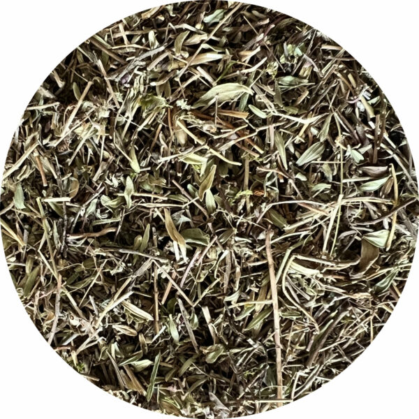 Aromate à chambéry - Herbier du granier